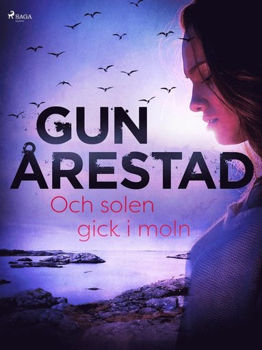 Och solen gick i moln (pocket)