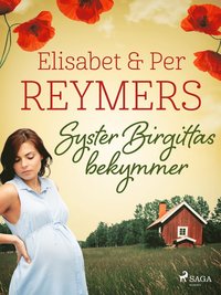 Syster Birgittas bekymmer (e-bok)