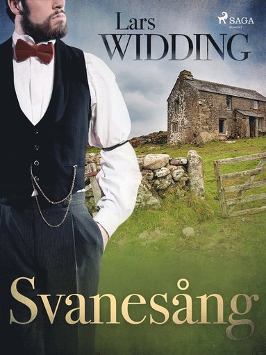 Svanesng (pocket)