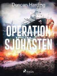 Operation sjöhästen (e-bok)