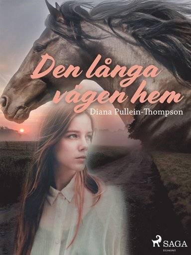 Den l�nga v�gen hem (e-bok)