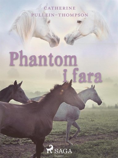 Phantom i fara (inbunden)