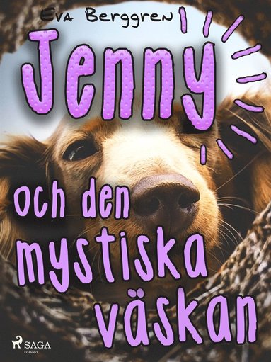 Jenny och den mystiska v�skan (inbunden)