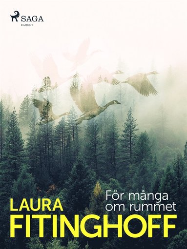 Fr mnga om rummet (e-bok)