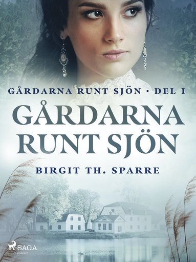 Gårdarna runt sjön (e-bok)