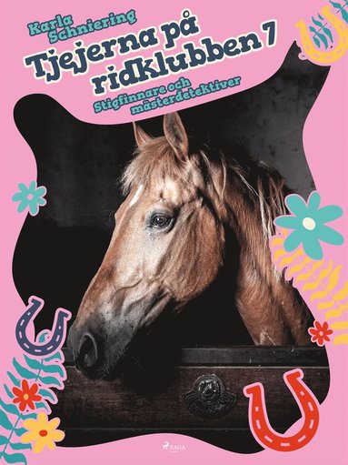 Tjejerna p ridklubben 7 - Stigfinnare och msterdetektiver (ljudbok)