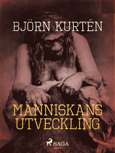 Människans utveckling (inbunden)