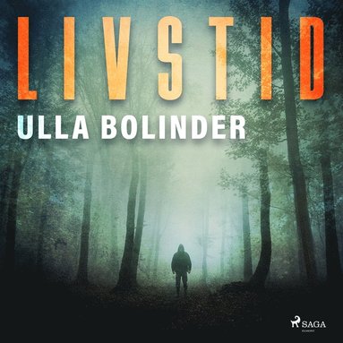 Livstid (mp3-skiva)