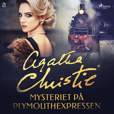 Mysteriet p Plymouthexpressen (ljudbok)