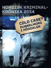 Cold case? Dubbelmord i Högdalen (e-bok)