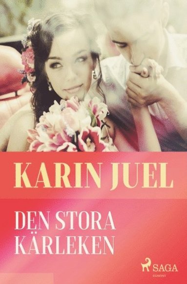 Den stora krleken (hftad)