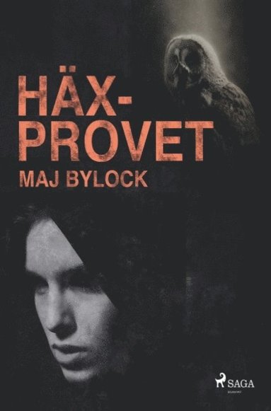 Hxprovet (inbunden)