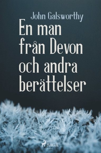 En man frn Devon och andra berttelser (pocket)