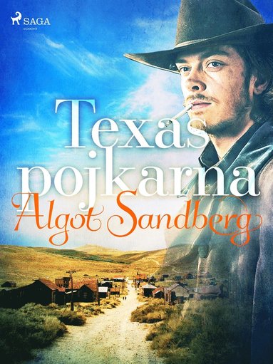 Texaspojkarna (e-bok)