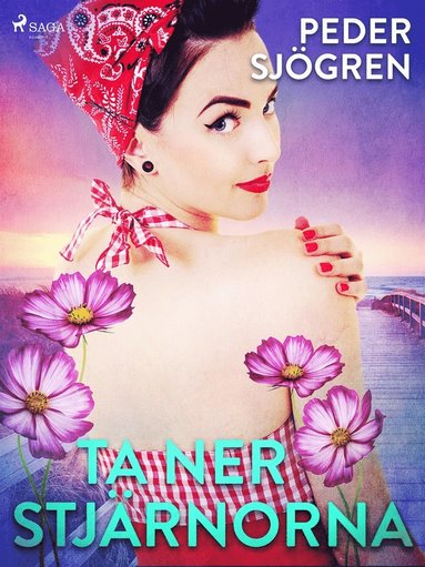 Ta ner stjrnorna (e-bok)