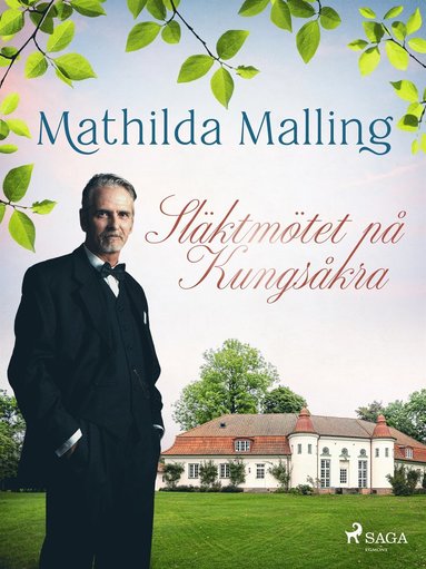 Slktmtet p Kungskra (e-bok)