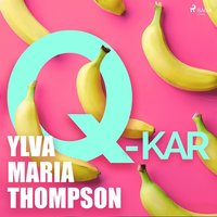 Q-kar (ljudbok)