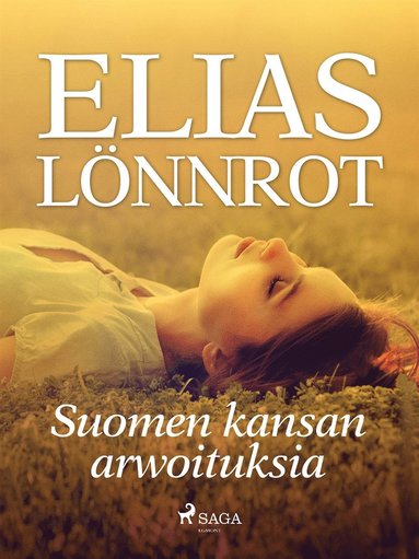 Suomen kansan arwoituksia (e-bok)