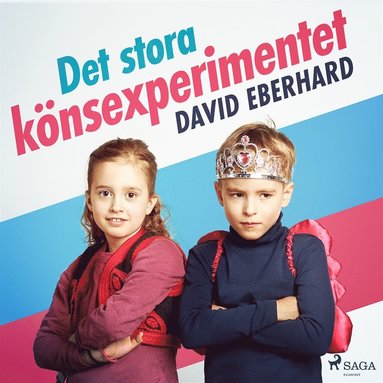 Det stora knsexperimentet (inbunden)