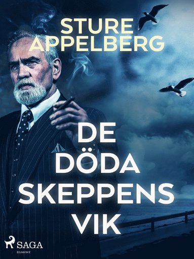 De dda skeppens vik (e-bok)