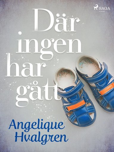 Dr ingen har gtt (pocket)