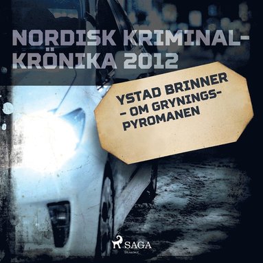 Ystad brinner ? om Gryningspyromanen (pocket)