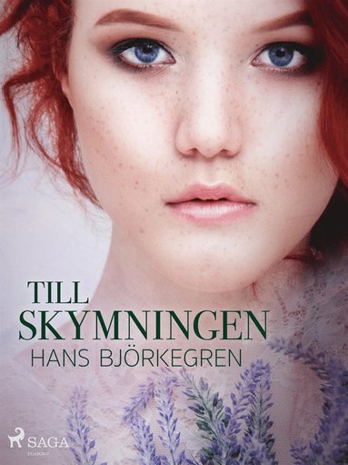 Till skymningen (inbunden)