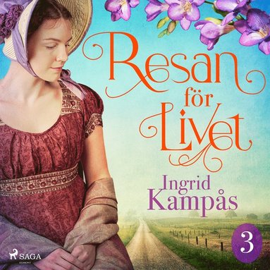Resan fr livet del 3 (ljudbok)