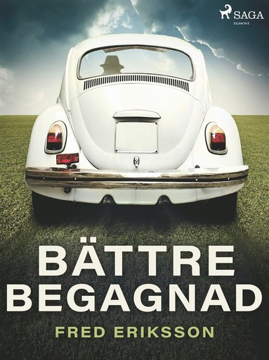 Bättre begagnad (e-bok)