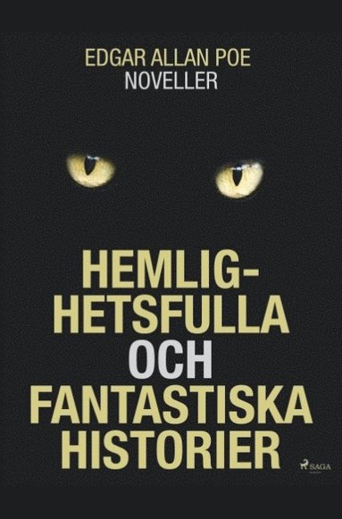 Hemlighetsfulla och fantastiska historier (pocket)