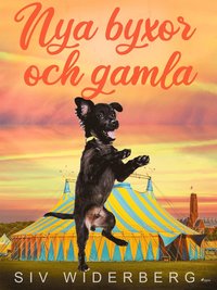 Nya byxor och gamla (e-bok)