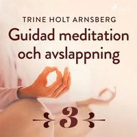 Guidad meditation och avslappning - Del 3 (ljudbok)