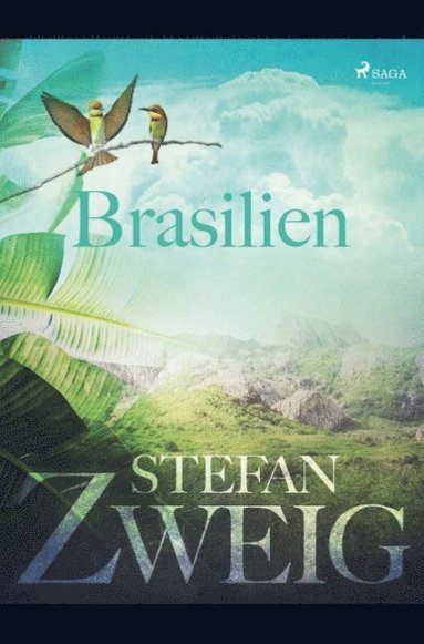 Brasilien : framtidslandet (inbunden)