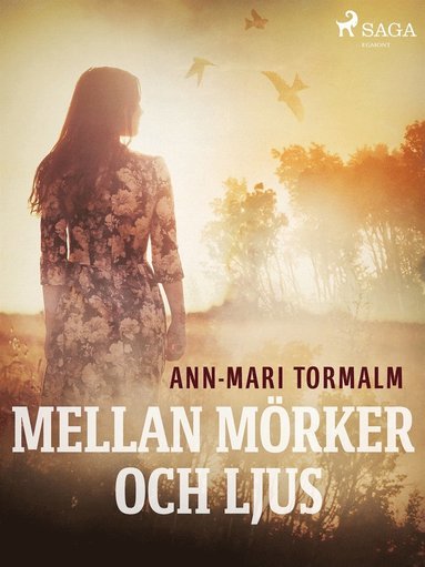 Mellan m�rker och ljus (inbunden)