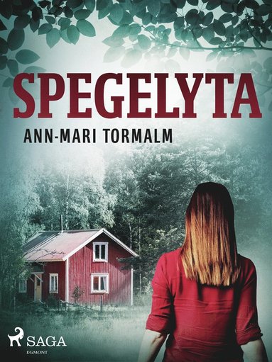 Spegelyta (inbunden)