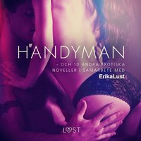 Handyman - och 10 andra erotiska noveller i samarbete med Erika Lust (ljudbok)