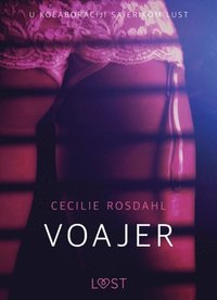 Voajer - Seksi erotika (e-bok)