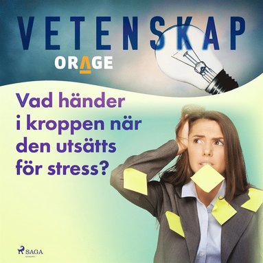 Vad händer i kroppen när den utsätts för stress? (häftad)