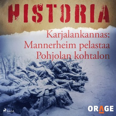 Karjalankannas: Mannerheim pelastaa Pohjolan kohtalon (e-bok)