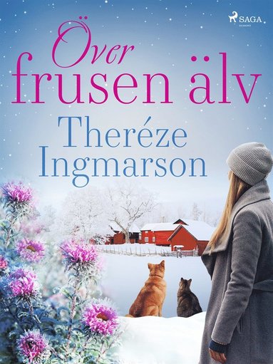 Över frusen älv
