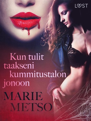 Kun tulit taakseni kummitustalon jonoon - eroottinen novelli (hftad)