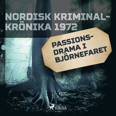 Passionsdrama i Bjrnefaret (ljudbok)