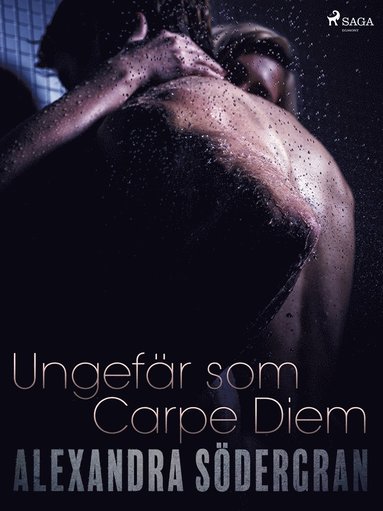 Ungefr som Carpe Diem (ljudbok)