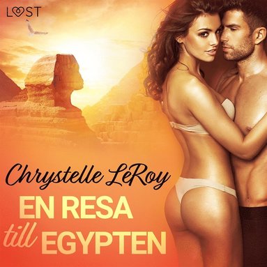 En resa till Egypten - erotisk novell (pocket)