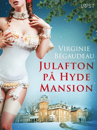Julafton p Hyde Mansion - erotisk novell (e-bok)