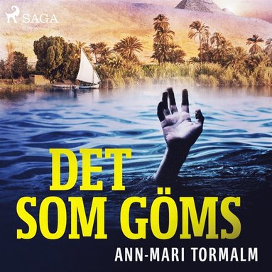 Det som g�ms (ljudbok)