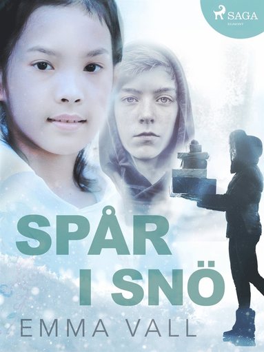 Spår i snö (inbunden)