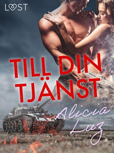 Till din tjänst - erotisk novell (pocket)