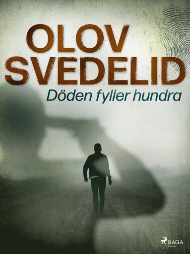 Dden fyller hundra (pocket)