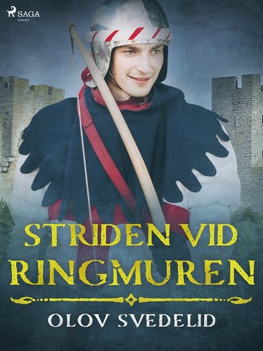 Striden vid ringmuren (inbunden)